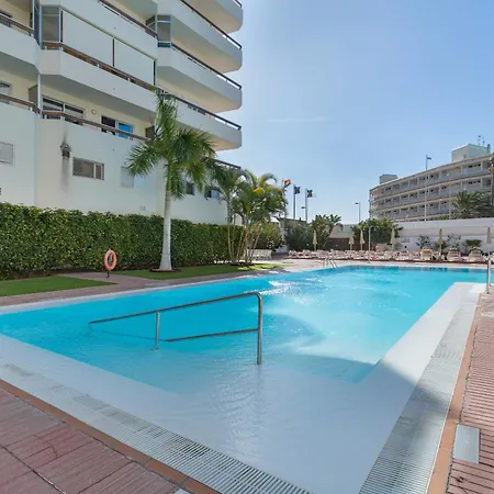 Daire Kellys' Camelias